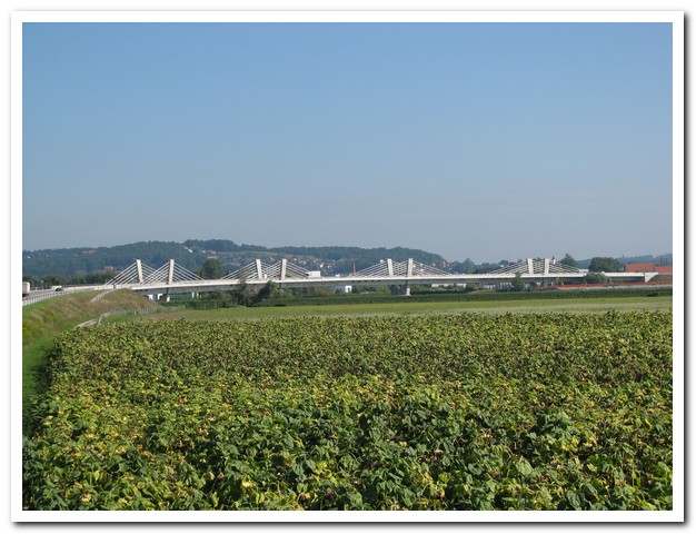 Brücke bei Ptuj über die Drava / Drau